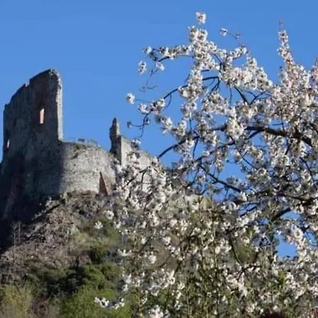 Il Giardino Fiorito Apartamento Avigliana