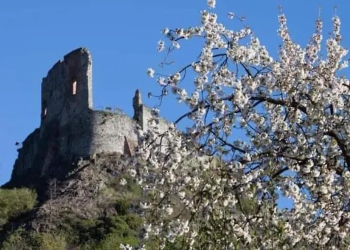 Il Giardino Fiorito アパート アヴィリアーナ